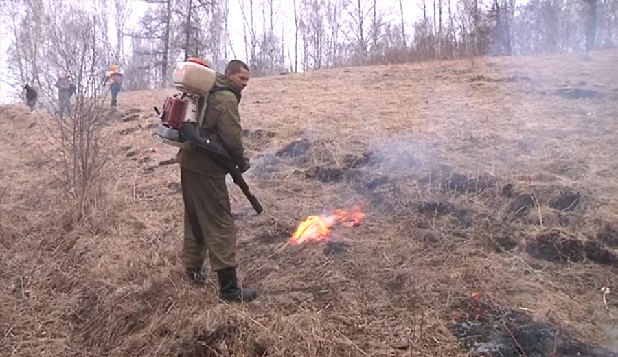 За время действия противопожарного режима в Шарыповском районе сгорело 45 гектар леса. 7 лесных пожаров зафиксировано на территории района этой весной. Их тушением занимается лесопожарный центр. В их ответственности - леса гослесфонда.
