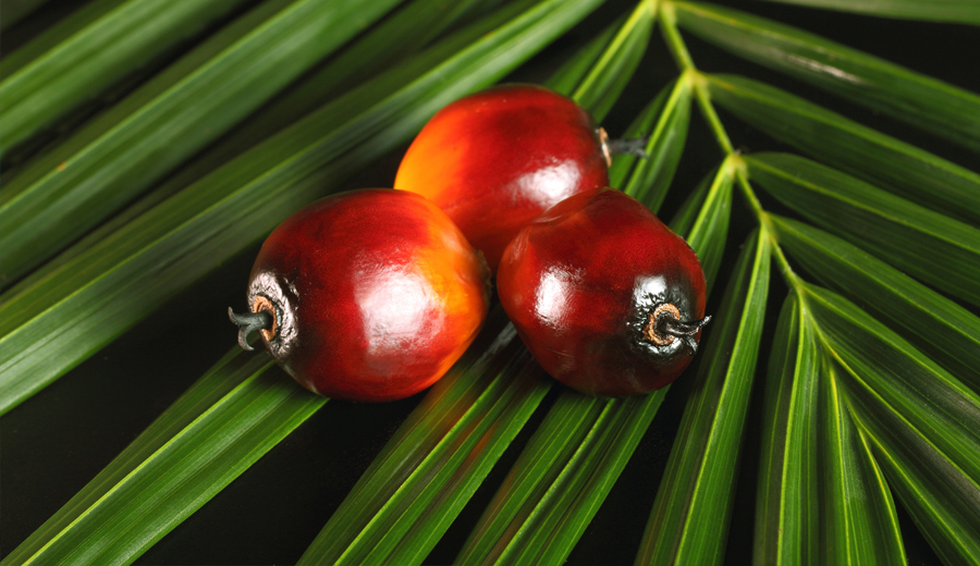 пальмовое-масло