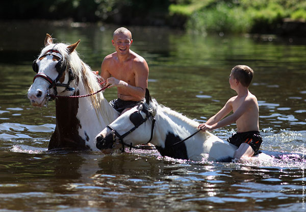 купание коня
